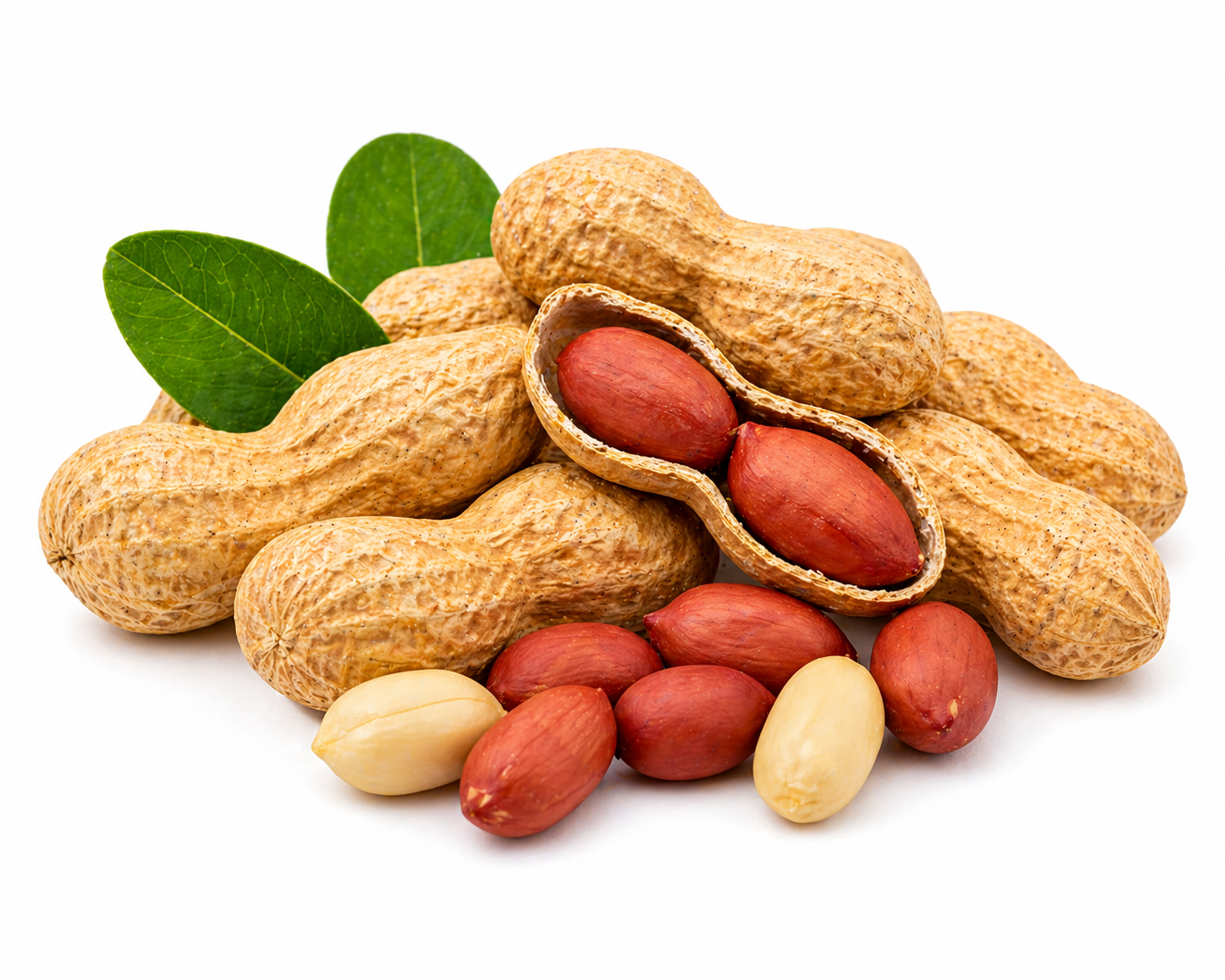 Groundnut